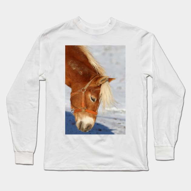 Shaggy Horse Long Sleeve T-Shirt by Jim Cumming